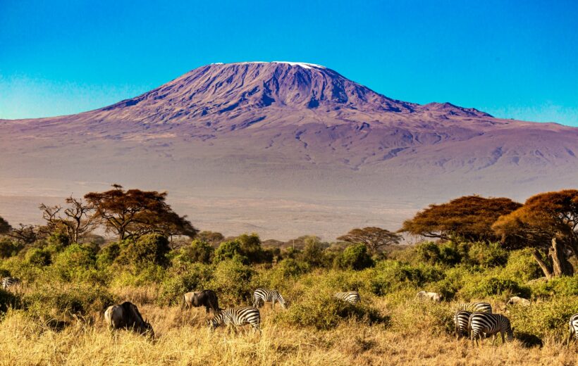 Del Kilimanjaro a la Gran Migración