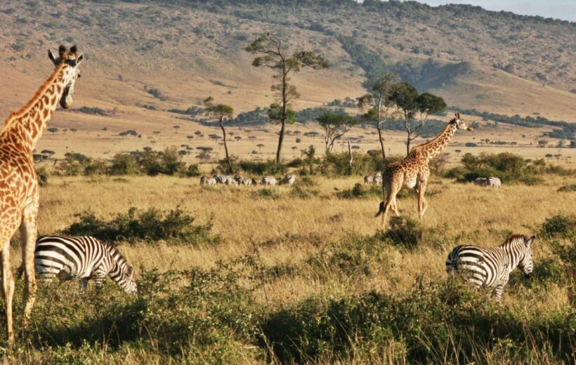 Safari en Kenia y Tanzania + Zanzíbar