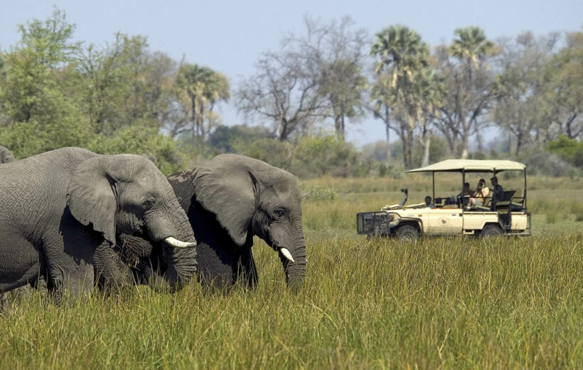 Tras la senda de los elefantes en Zimbabue y Botsuana